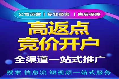 竞价广告的创意与执行：某快消品的营销突破